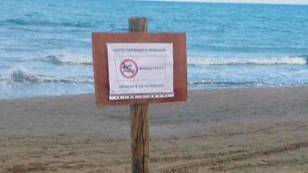 San Vincenzo, vietato fare il bagno: ecco perché più della metà del mare è off-limits