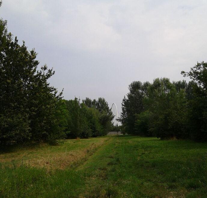 «Un bosco urbano per Matteo»