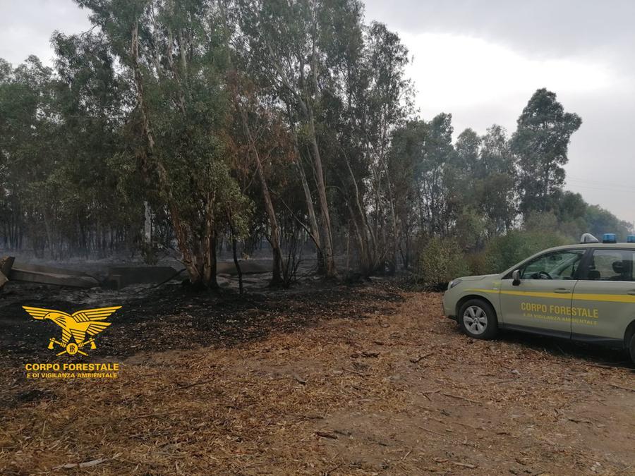 Scoperto mentre appicca un incendio nelle campagne del paese, arrestato