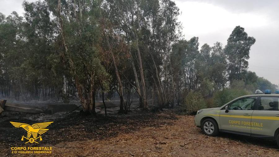 Scoperto mentre appicca un incendio nelle campagne del paese, arrestato