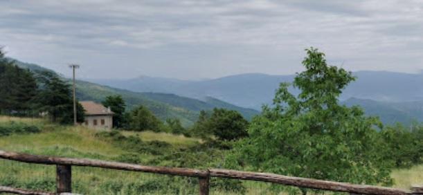 
	Uno scorcio della zona di Talla, in provincia di Arezzo

