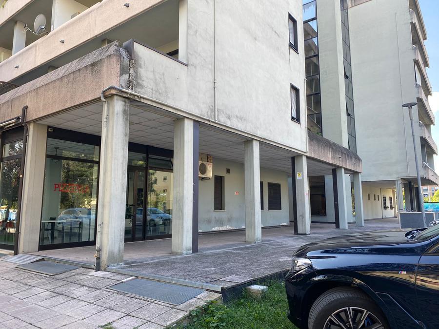 Il luogo di ritrovo del gruppo è sotto i portici. «Stanno lì a bivaccare, bere e schiamazzare»