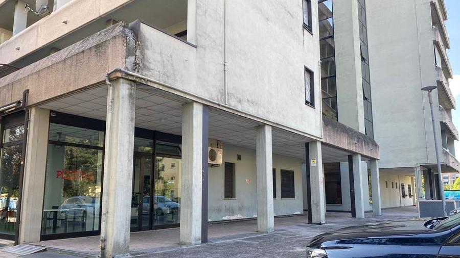 Il luogo di ritrovo del gruppo è sotto i portici. «Stanno lì a bivaccare, bere e schiamazzare»