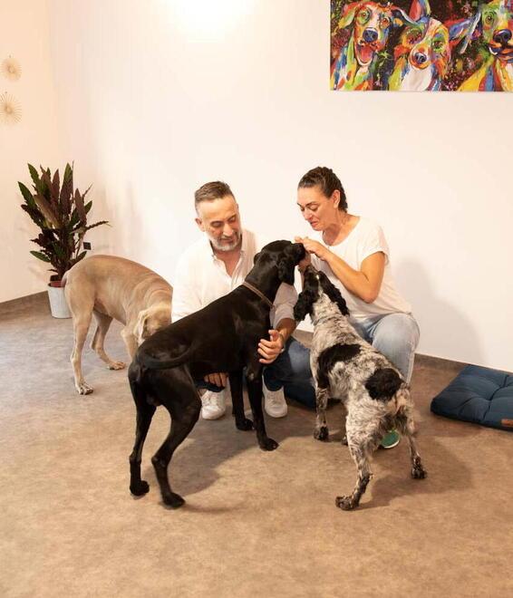 Lara Leone e Marco Zuanetto all’interno dell’asilo per cani aperto in via Banchelli