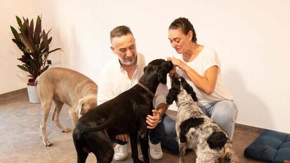 Lara Leone e Marco Zuanetto all’interno dell’asilo per cani aperto in via Banchelli