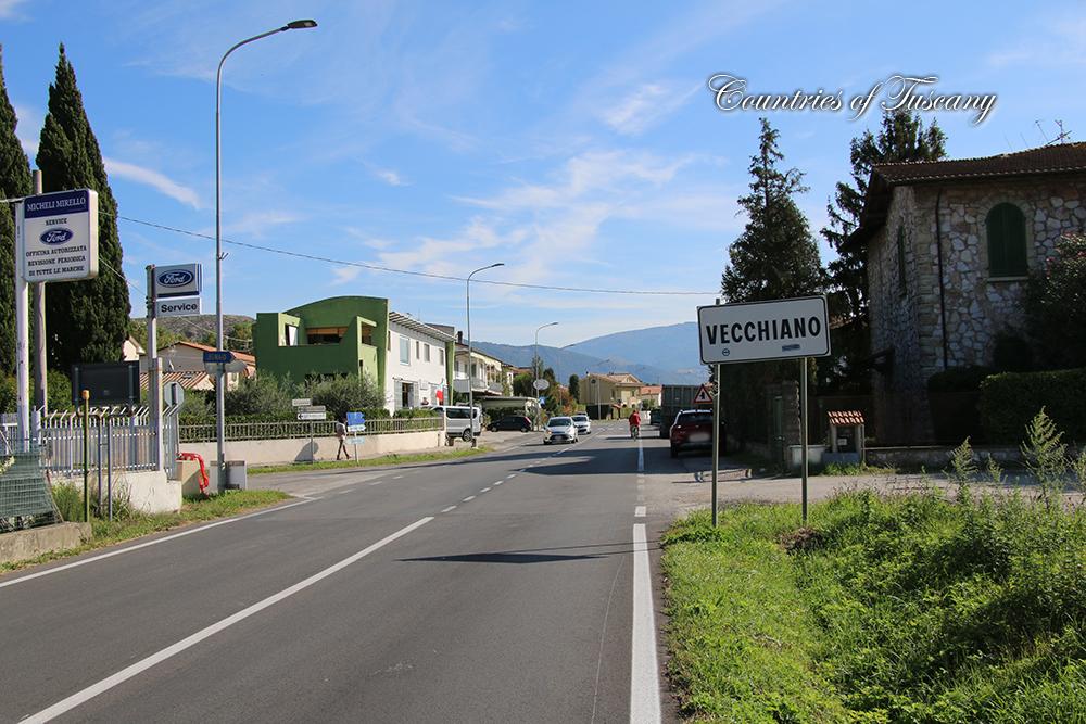 Nella foto pali dell’illuminazione pubblica su una strada nel comune di Vecchiano