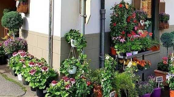 Lo storico negozio festeggia il mezzo secolo di attività