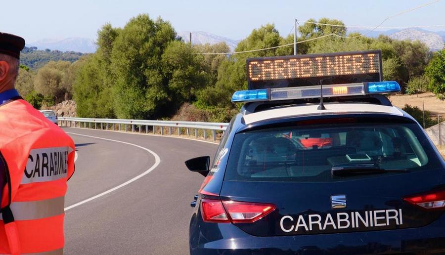 Piantagione di marijuana a Dualchi, giovane arrestato