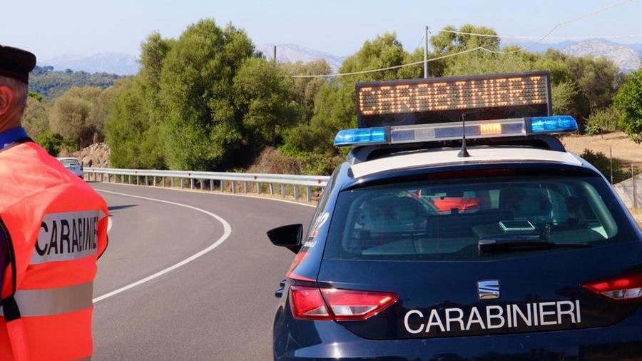 Piantagione di marijuana a Dualchi, giovane arrestato