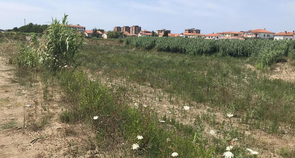 La zona interessata dai lavori, a fianco di via dell’Uliveta, nel quartiere di Borgo di Magrignano