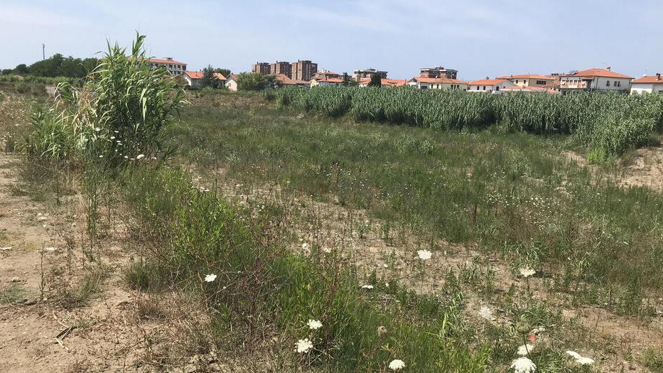 La zona interessata dai lavori, a fianco di via dell’Uliveta, nel quartiere di Borgo di Magrignano