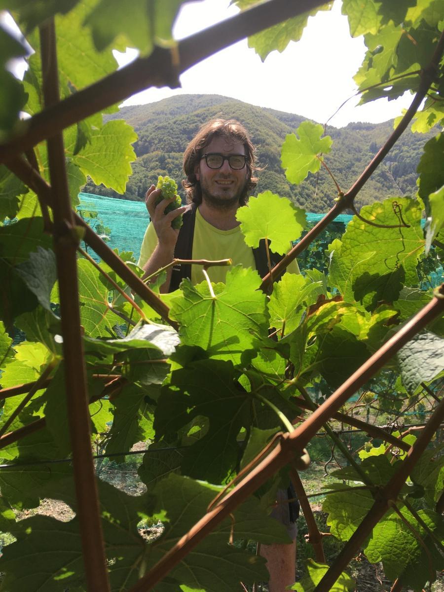 Ceccarelli, il viticoltore eroico che produce a 1.100 metri d’altezza