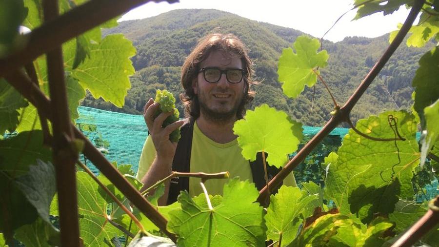 Ceccarelli, il viticoltore eroico che produce a 1.100 metri d’altezza