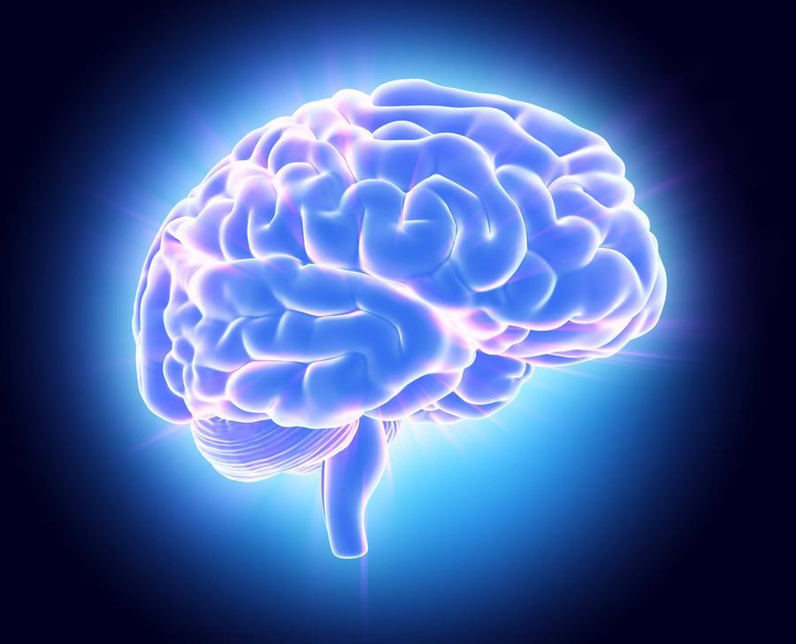 Così il cervello avverte il cambio di stagione