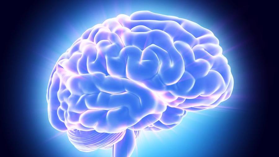 Così il cervello avverte il cambio di stagione
