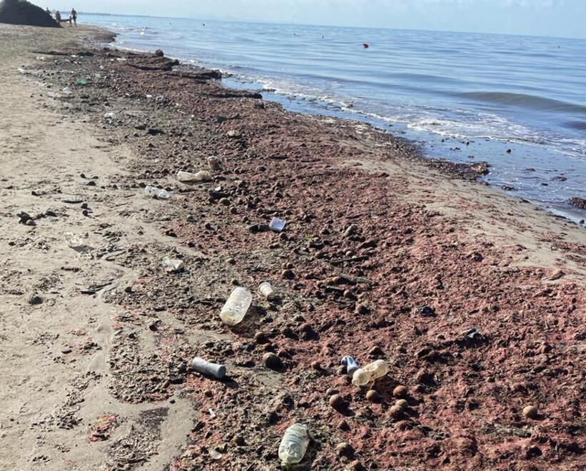 Sorpresa tra Fiumetto e Forte: la spiaggia è colorata di rosa. Ecco perché 