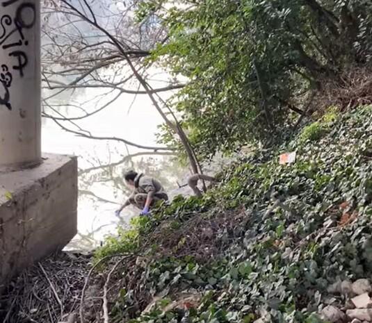 «Inquinamento nel Po di Volano. Ora le risposte al nostro esposto» 