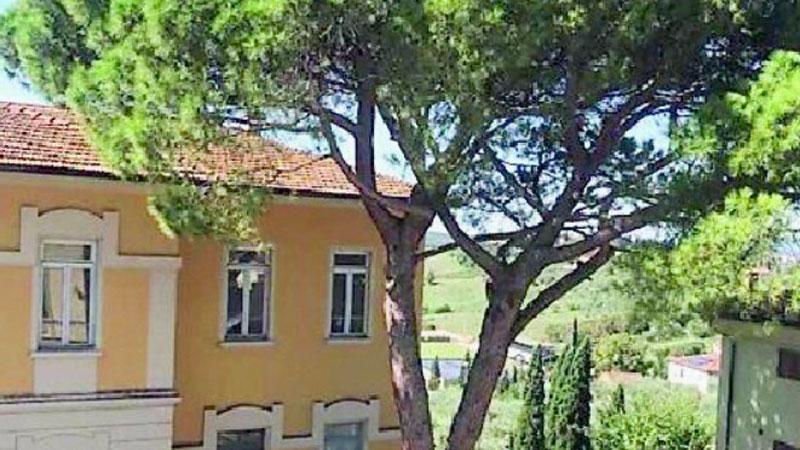 Cerreto Guidi, sarà abbattuto il pino di via Veneto dopo la tempesta di Ferragosto