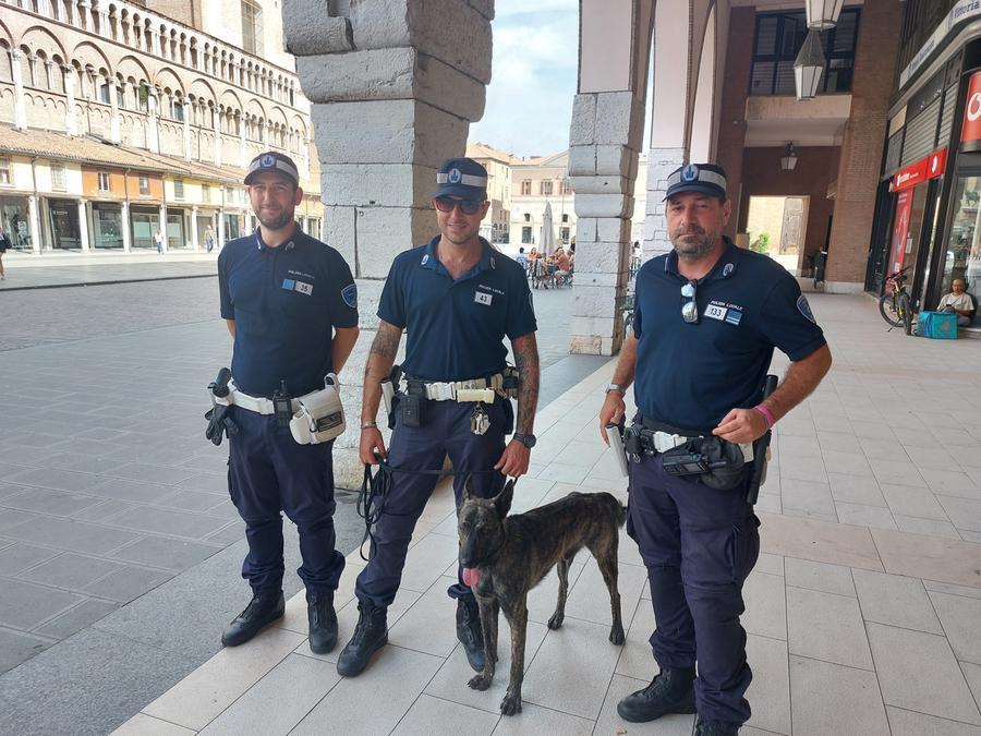 Ferrara. Scarsa igiene e irregolarità: sospesa la licenza a un minimarket