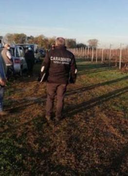 Controlli dei carabinieri in campagna (foto di archivio)