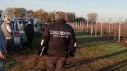 Controlli dei carabinieri in campagna (foto di archivio)