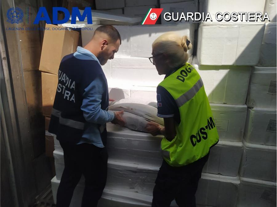 Manca la certificazione, sequestrati 200 chili di pesce d’importazione