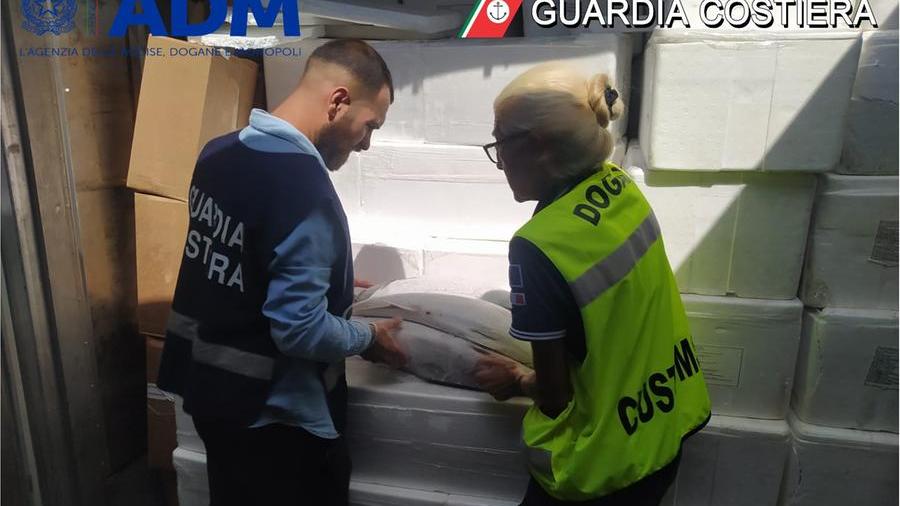 Manca la certificazione, sequestrati 200 chili di pesce d’importazione