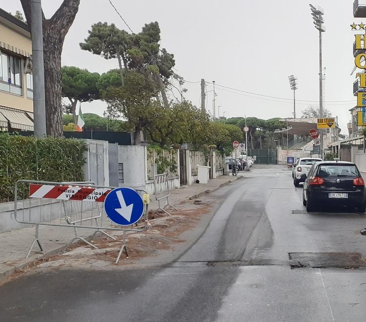 Il tratto di via Trento dove da quasi un anno sono state sistemate le transenne a causa delle radici sporgenti dei pini