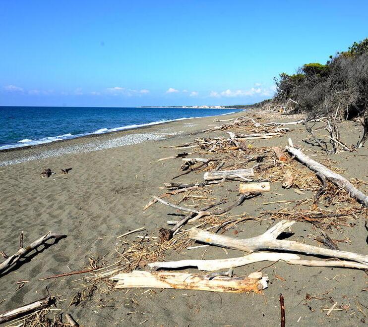 L’erosione costiera a Marina di Cecina