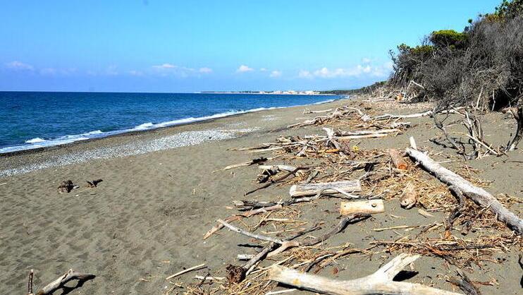 L’erosione costiera a Marina di Cecina
