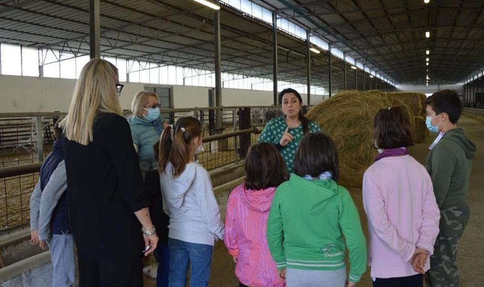 Beni confiscati alle mafie, Ferrara “rimandata” in trasparenza