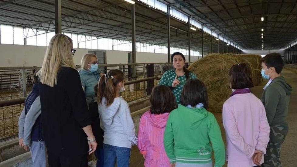 Beni confiscati alle mafie, Ferrara “rimandata” in trasparenza