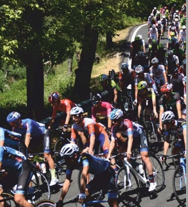 I corridori impegnati sulle colline versiliesi durante il Trofeo Corsanico