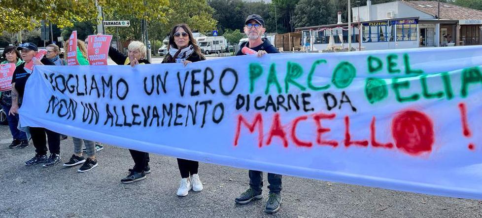 «I daini della pineta di Volano non sono carne da macello»