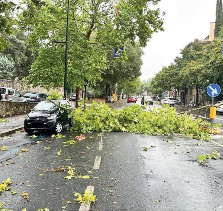 
	Nella foto, i danni causati a Firenze e nella metropoli dall&rsquo;ondata di maltempo

