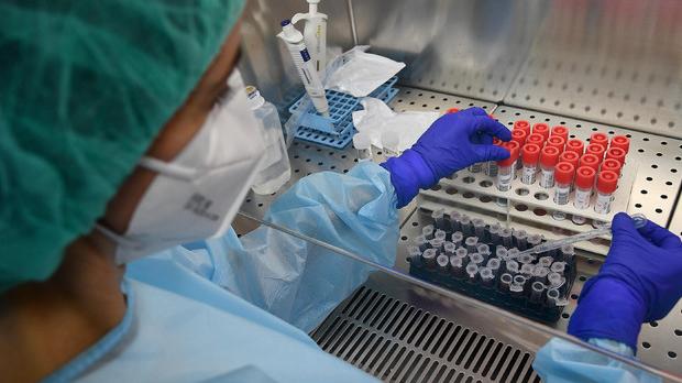 Covid, leggera crescita dei positivi nel Ferrarese