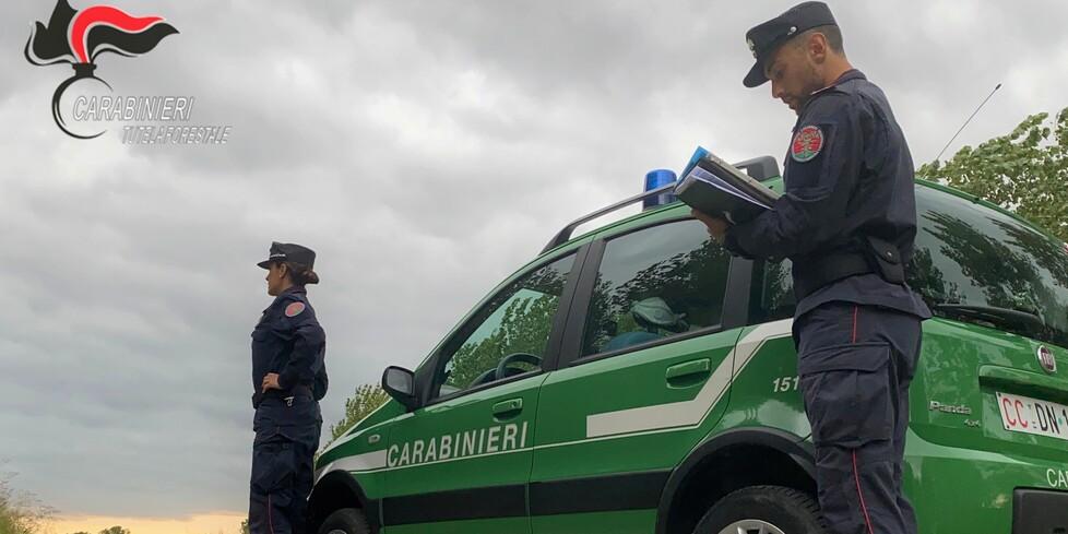 Cani rinchiusi, debilitati e sporchi Scattano sanzioni e sequestro