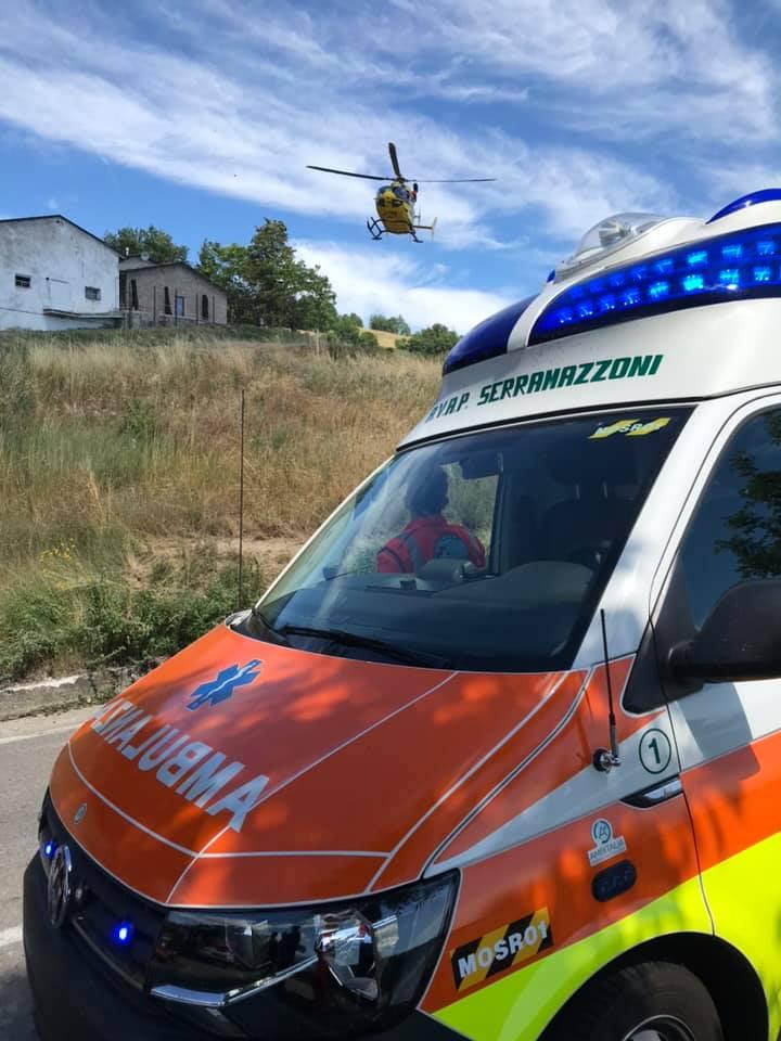 Serramazzoni. Punto da calabrone, va in choc  Il rapido intervento di soccorso salva un 75enne a Valle