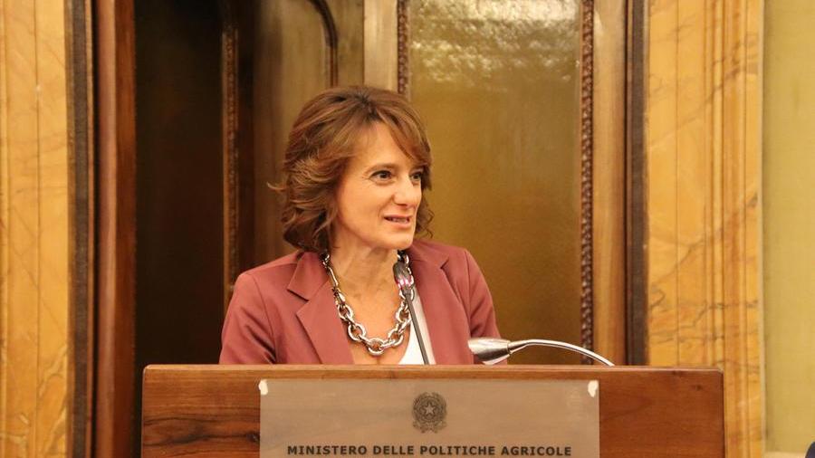 La ministra Bonetti: «Da Family act e Pnrr un aiuto per tante famiglie dell’isola»