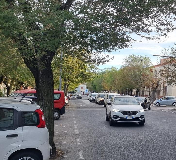 «Così viale del Lavoro rinasce per tornare all’antico splendore»