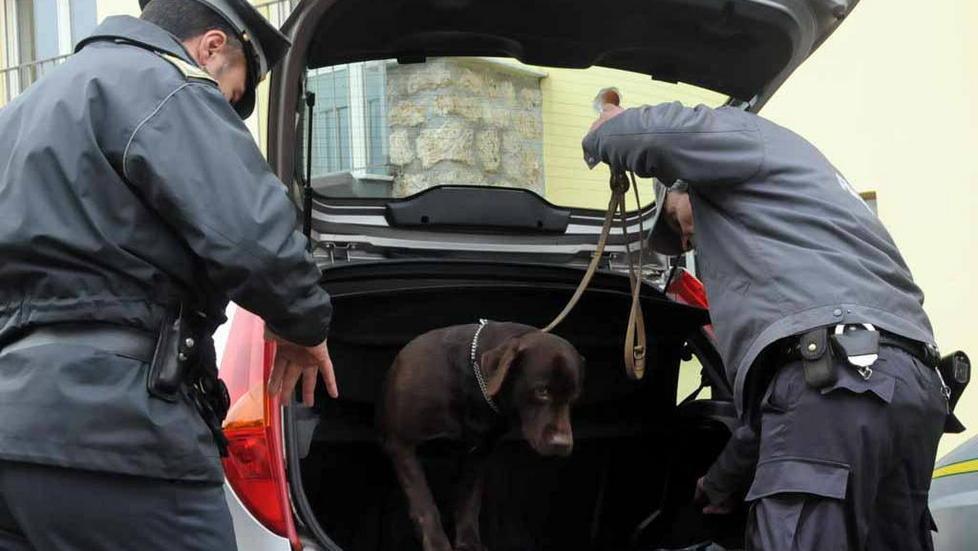 Controlli coi cani antidroga Caccia ai pendolari della coca 