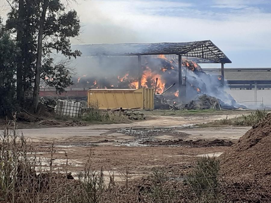 
	L'incendio di Arborea

