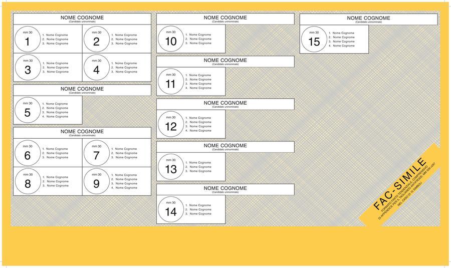 
	Fac simile di una scheda diffuso dal Viminale

