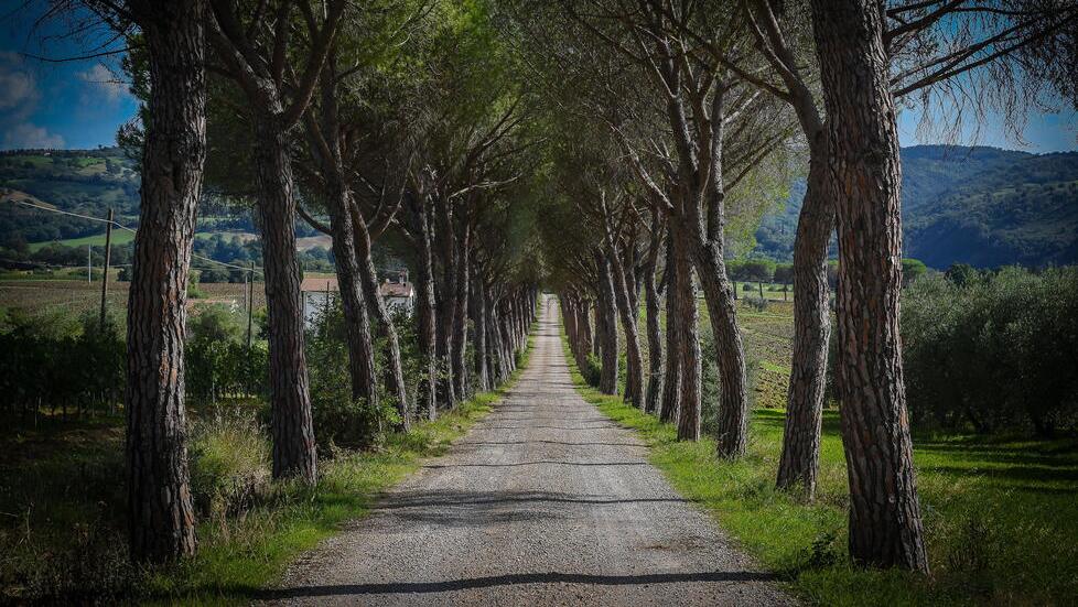 Strade, l’ordinanza del Comune di Grosseto minaccia la Toscana “cartolina”
