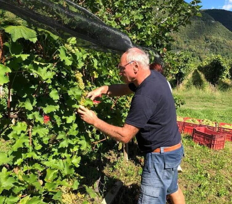 Azzurri, c’è entusiasmo: tifoseria mobilitata per la trasferta di sabato