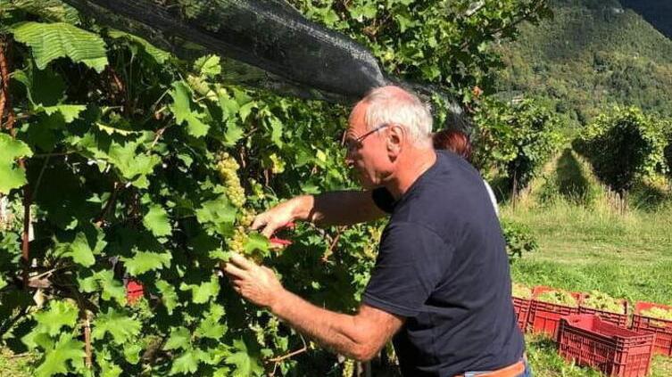Azzurri, c’è entusiasmo: tifoseria mobilitata per la trasferta di sabato