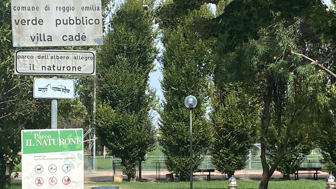 «Salvato dal gioco di squadra»