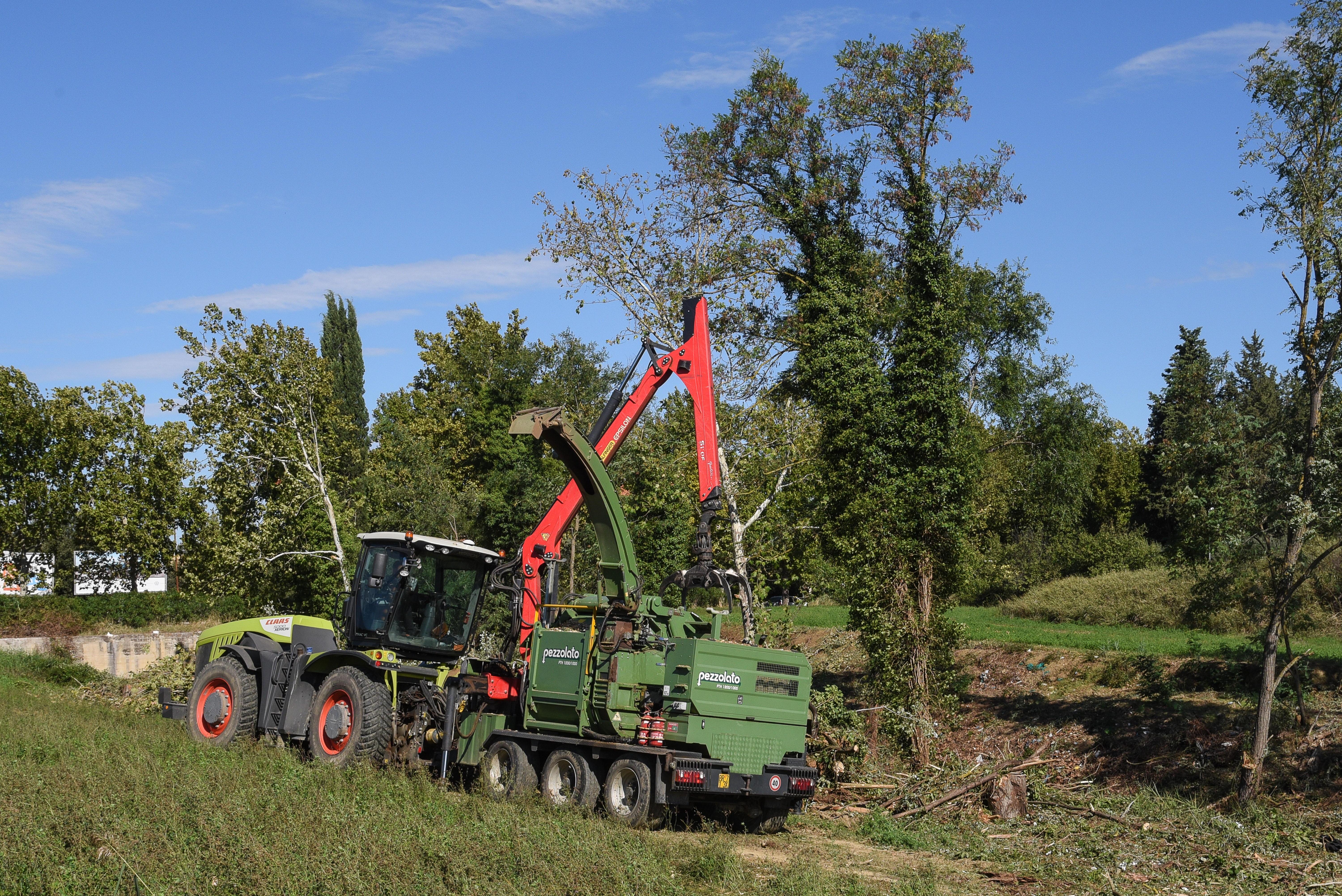 Le ruspe abbattono acacie e platani Bonifica: «Erano a rischio caduta»