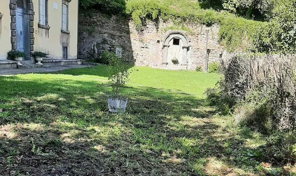 Gli effetti del passaggio dei cinghiali a villa Webb