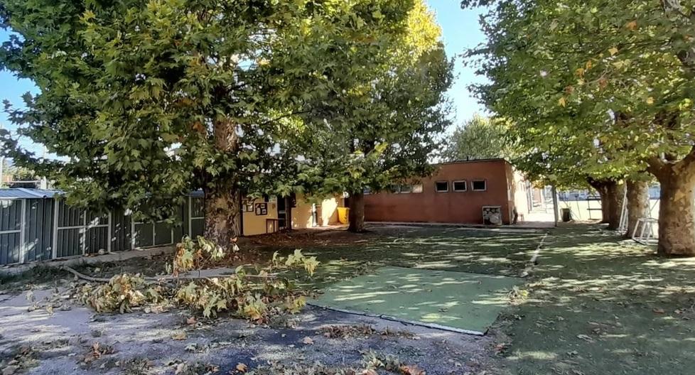 Chiuso al pubblico il campo Frascari, scontro Pistoiese-Comune sulla gestione 